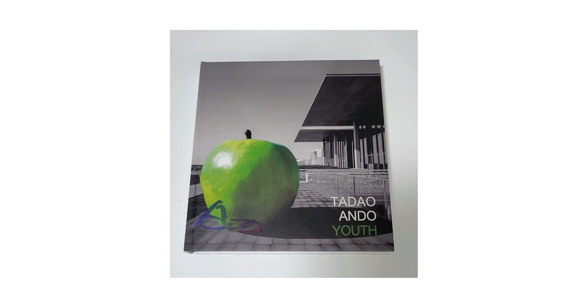 Amazon.co.jp: Tadao Ando Youth 安藤忠雄青春 大阪 図録 安藤